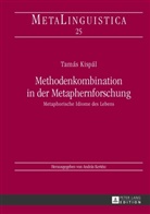 Tamás Kispál, Tamàs Kispàl - Methodenkombination in der Metaphernforschung