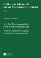 Andreas Hofelich, Andreas Georg Hofelich - Von der Bereichsausnahme zur Bereichseinschränkung