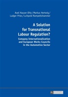 Axel Hauser-Ditz, Markus Hertwig, Ludger Pries, Luitpold Rampeltshammer - A Solution for Transnational Labour Regulation?
