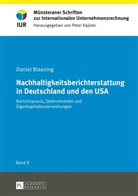 Daniel Blaesing - Nachhaltigkeitsberichterstattung in Deutschland und den USA
