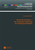 Christoph Pabst - Materielle Insolvenz - Die retrograde Ermittlung der Zahlungsunfähigkeit