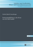 Gabriel Litzenberger, Gabriel Jakob Litzenberger - Sanierungspflichten in der Krise von AG und GmbH
