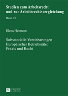 Elena Heimann, Manfred Weiß - Substantielle Vereinbarungen Europäischer Betriebsräte: Praxis und Recht