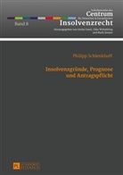 Philipp Schlenkhoff - Insolvenzgründe, Prognose und Antragspflicht