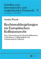 Sandra Wandt, Abbo Junker - Rechtswahlregelungen im Europäischen Kollisionsrecht