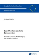 Andreas Schäfer - Das öffentlich-rechtliche Bankensystem