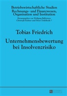 Tobias Friedrich - Unternehmensbewertung bei Insolvenzrisiko
