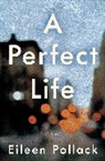 Eileen Pollack - A Perfect Life