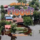 Robin Johnson, Megan Kopp - What Is a Flood?