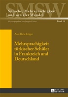 Ann-Birte Krüger - Mehrsprachigkeit türkischer Schüler in Frankreich und Deutschland