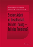 Bernhard Haupert, Susanne Maurer, Sigrid Schilling, Franz Schultheis - Soziale Arbeit in Gesellschaft
