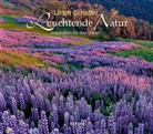 Ulrich Schaffer - Leuchtende Natur