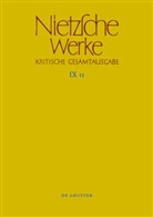 Friedrich Nietzsche, Marie-Luise Haase, Michae Kohlenbach, Michael Kohlenbach, Thomas Riebe, Thomas Riebe u a... - Werke, Kritische Gesamtausgabe - Band 11: Arbeitsheft W II 10 sowie Aufzeichnungen aus diversen Heften. Bd.11