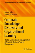 Andrá Gábor, András Gábor, Andrea K_, Ko, Ko, Andrea Ko... - Corporate Knowledge Discovery and Organizational Learning