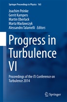 Gerri Kampers, Gerrit Kampers, Martin Oberlack, Martin Oberlack et al, Joachim Peinke, Alessandro Talamelli... - Progress in Turbulence VI