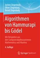 Ziegenbalg, Bernd Ziegenbalg, Joche Ziegenbalg, Jochen Ziegenbalg, Jochen (Prof. Dr. Ziegenbalg, Jochen (Prof. Dr.) Ziegenbalg... - Algorithmen von Hammurapi bis Gödel