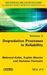 Waltraud Kahle, Sophie Mercier, Christian Paroissin - Degradation Processes in Reliability
