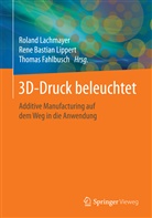Ren Bastian Lippert, Rene Bastian Lippert, Thomas Fahlbusch, Roland Lachmayer, Rene B. Lippert, Rene Bastian Lippert - 3D-Druck beleuchtet