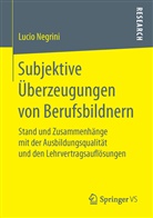 Lucio Negrini - Subjektive Überzeugungen von Berufsbildnern