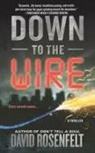 David Rosenfelt - Down to the Wire