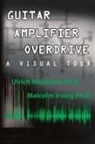 Malcolm Irving, Ulrich Neumann - Guitar Amplifier Overdrive