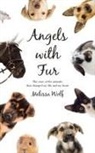 Melissa Wolf - Angels with Fur
