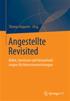 Thoma Haipeter, Thomas Haipeter - Angestellte Revisited