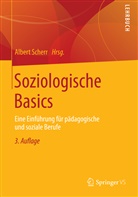Alber Scherr, Albert Scherr - Soziologische Basics
