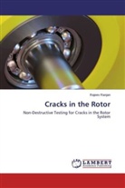 Rajeev Ranjan - Cracks in the Rotor
