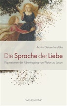 Achim Geisenhanslüke - Die Sprache der Liebe