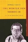 Donald Keene - Winter Sun Shines in