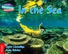 Claire Llewellyn, Andy Belcher, Claire Llewellyn - Cambridge Reading Adventures in the Sea Red Band