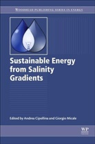Andrea Micale Cipollina, Andrea Cipollina, Cipollina Andrea, Giorgio Micale, Micale Giorgio - Sustainable Energy From Salinity Gradients