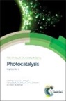 Dionysios D (University of Cincinnati Dionysiou, Dionysios D Li Puma Dionysiou, Dionysios D. Dionysiou, Dionysios D. Li Puma Dionysiou, Prof. Dionysios D (University of Cincin Dionysiou, Detlef Bahnemann... - Photocatalysis