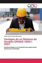 Sergio Andrés Roland Bermúdez - Ventajas de un Sistema de Gestión OHSAS 18001: 2007
