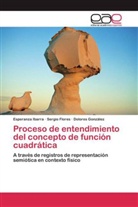 Sergi Flores, Sergio Flores, Dolores González, Esperanz Ibarra, Esperanza Ibarra - Proceso de entendimiento del concepto de función cuadrática
