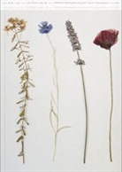 Martin Behr, Janina Falkner, Anne Kat Fessler, Anne Katrin Feßler, Lucas Gehrmann, Theresia Hauenfels... - Alfredo Barsuglia