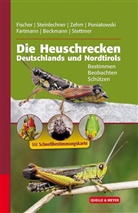 Armin Beckmann, Dr Poniatows, Dominik Dr. Poniatowski, Thomas Fartmann, Jürge Fischer, Jürgen Fischer... - Die Heuschrecken Deutschlands und Nordtirols