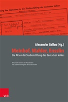 Alexande Gallus, Alexander Gallus - Meinhof, Mahler, Ensslin