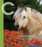 Ulrich Schmelzer - Fjordpferde