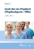Gerhard Igl - Gesetz über die Pflegeberufe (Pflegeberufegesetz - PflBG) - Praxiskommentar