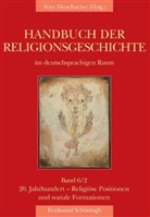 Peter Dinzelbacher, Lucia Hölscher, Lucian Hölscher, Krech, Krech, Volkhar Krech... - Handbuch der Religionsgeschichte im deutschsprachigen Raum - 6/2: 20. Jahrhundert - Positionen und soziale Formationen