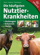 Armin Deutz, Johann Gasteiner, W Obritzhauser, Walter Obritzhauser - Die häufigsten Nutztierkrankheiten