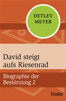 Detlev Meyer - David steigt aufs Riesenrad