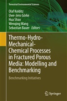 Sebastian Bauer, Uwe-Jen Görke, Uwe-Jens Görke, Olaf Kolditz, Hua Shao, Hua Shao et al... - Thermo-Hydro-Mechanical-Chemical Processes in Fractured Porous Media: Modelling and Benchmarking