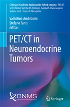 Valentin Ambrosini, Valentina Ambrosini, FANTI, Fanti, Stefano Fanti, Fanti Stefano - PET/CT in Neuroendocrine Tumors