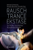 Michae Schetsche, Michael Schetsche, Schmidt, Schmidt, Renate-Berenike Schmidt - Rausch - Trance - Ekstase
