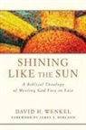 David H Wenkel, David H. Wenkel - Shining Like the Sun