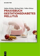 Michae Bolz, Michael Bolz, Volker Briese, Sabin Körber, Sabine Körber - Praxisbuch Gestationsdiabetes mellitus