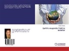 D¿eneta Halilovi¿, Dzeneta Halilovic - Earth's magnetic field in exterior